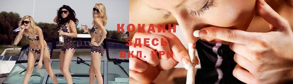 винт Алексеевка
