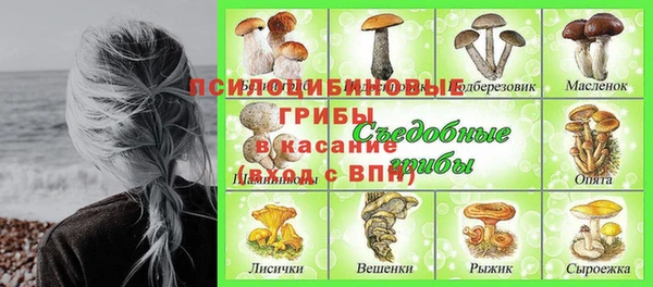 винт Алексеевка
