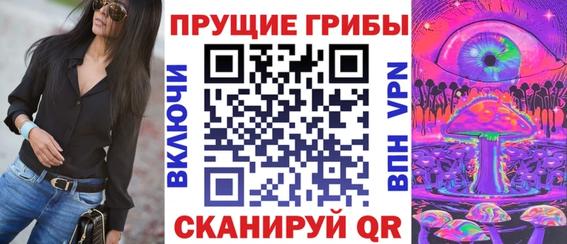 кракен ССЫЛКА  даркнет сайт  Берёзовка  Галлюциногенные грибы GOLDEN TEACHER 